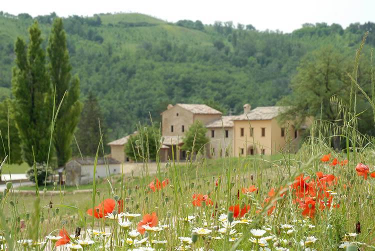Agriturismo Verziere Villa Fermignano Exteriör bild